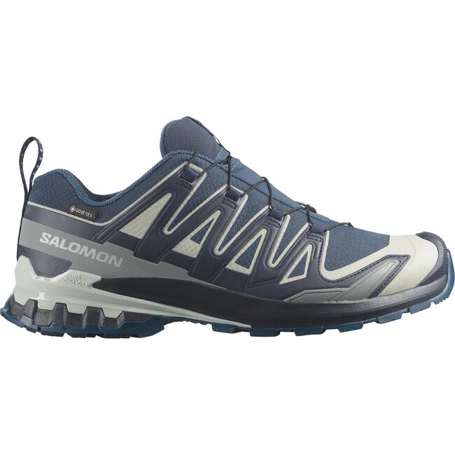 SALOMON Xa Pro 3D V9 GTX - Spellbound/Maritime Blue