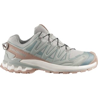 SALOMON SALOMON Xa Pro 3D V9 GTX Lifelong W