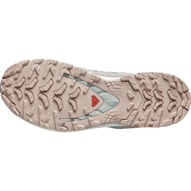 SALOMON Xa Pro 3D V9 GTX Lifelong W - Wrought Iron/Oxford Tan