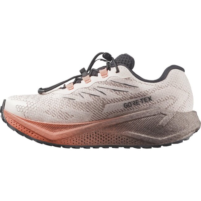 SALOMON Aero Blaze 4 GRVL GTX W - Rainy Day/Black