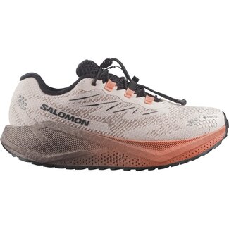 SALOMON SALOMON Aero Blaze 4 GRVL GTX W