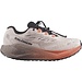 SALOMON SALOMON Aero Blaze 4 GRVL GTX W