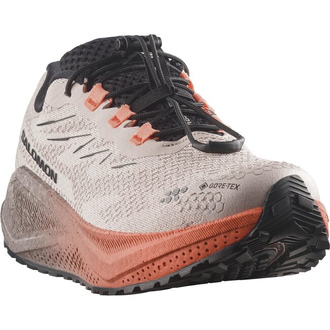 SALOMON Aero Blaze 4 GRVL GTX W - Rainy Day/Black