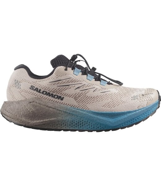 SALOMON Aero Blaze 4 GRVL GTX