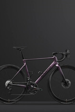 SARTO SARTO Raso Frameset inc Handlebar, Seatpost, Cages