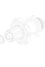 CAMAGNOLO CAMPAGNOLO/FULCRUM HUB Conversion Kit 135/142 Thru Axle