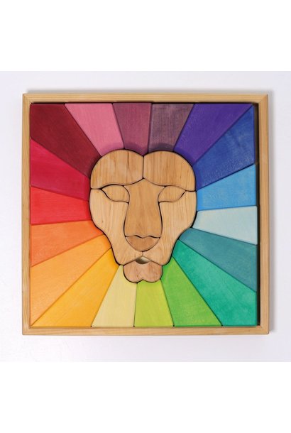 blokkenset regenboog leeuw
