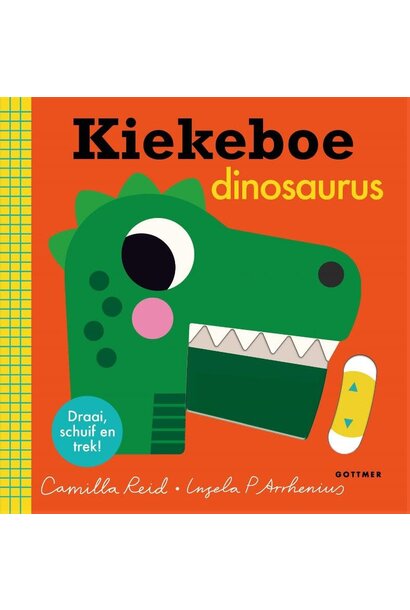 Boek | kiekeboe dinosaurus