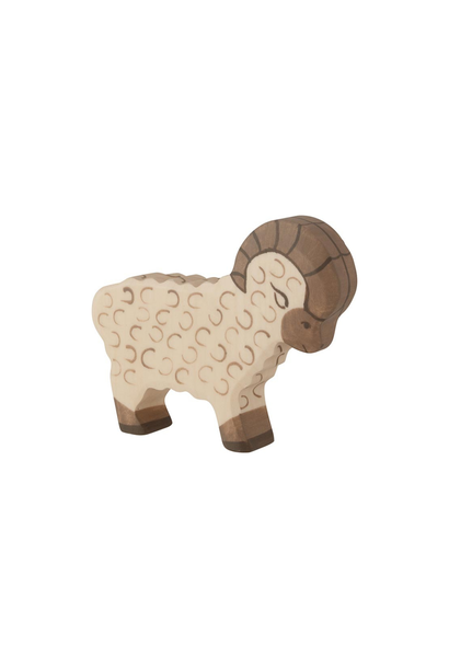 ram 80071