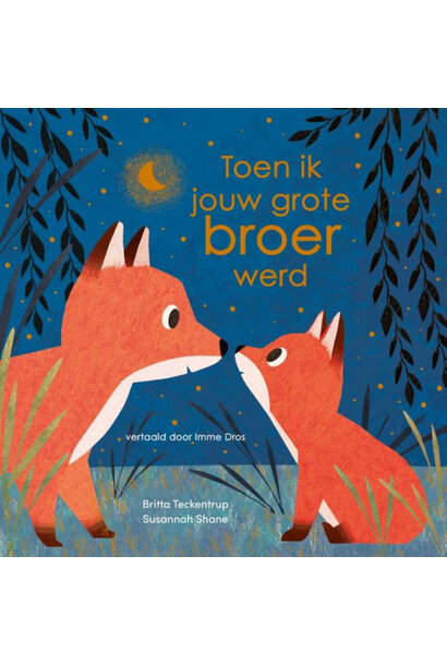 Boek | toen ik jouw grote broer werd