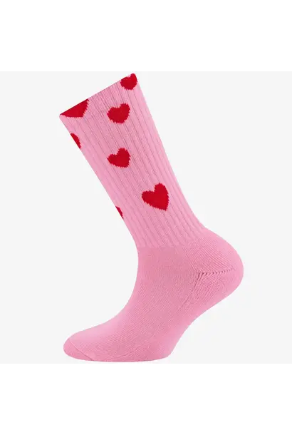 Ewers sokken KIDS mini & me hartjes