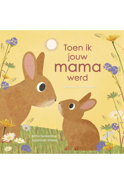 Boek | toen ik jouw mama werd