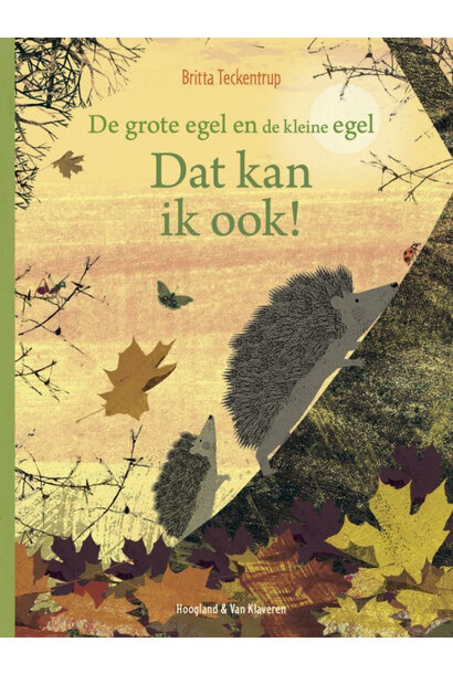 Boek | dat kan ik ook!