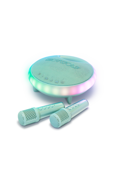 kidykaraoke luidspreker met 2 microfoons