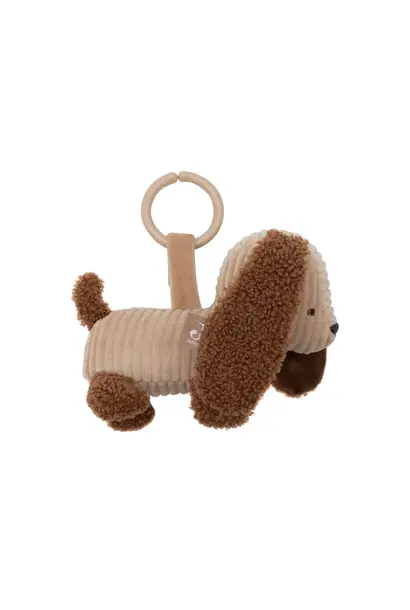 wagenhanger Diego dog