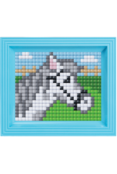 pixel XL met fotolijst - paard