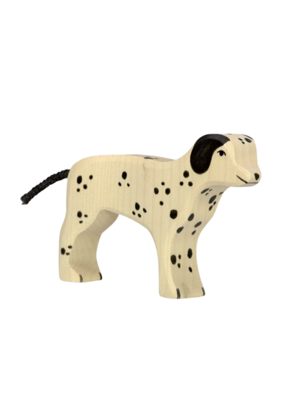 dalmatiër 80062