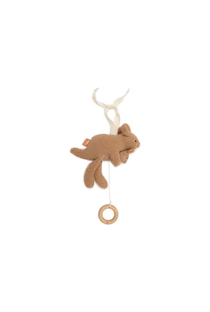 Jollein muziek hanger kangaroots