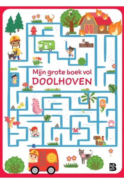 Doeboek mijn grote boek vol doolhoven