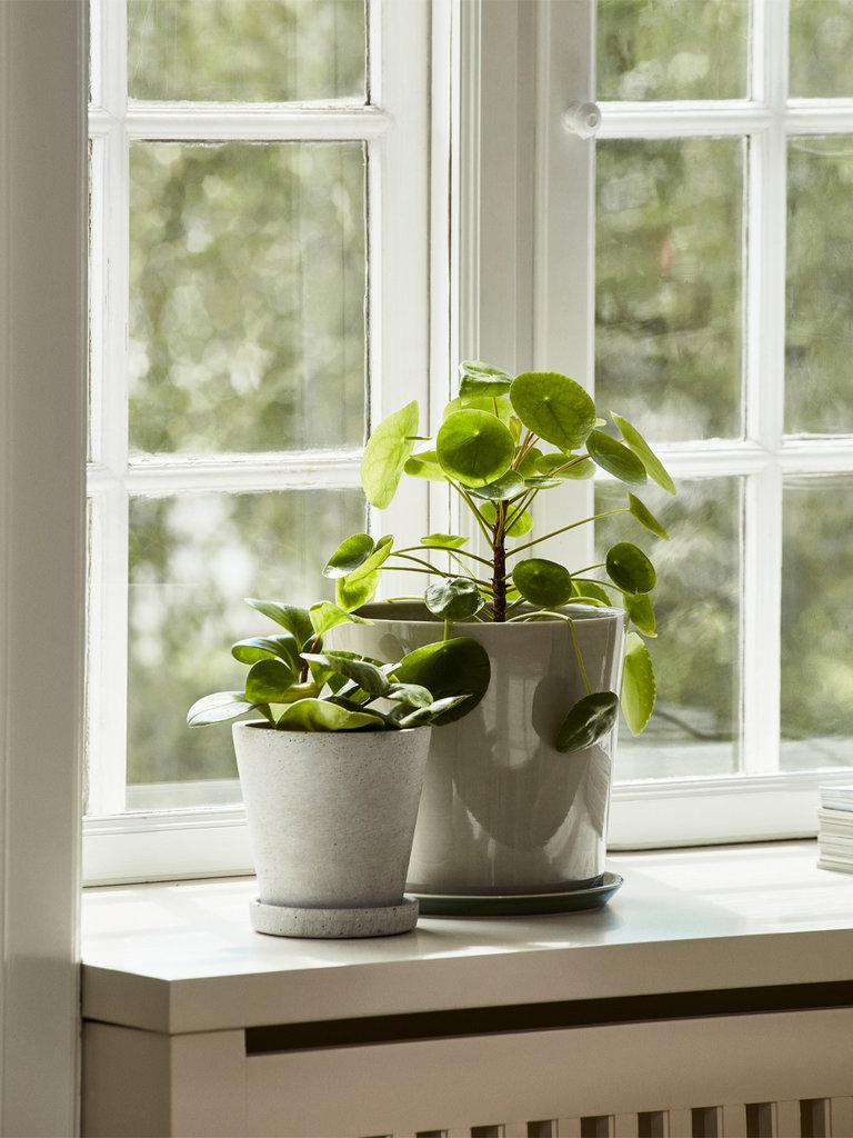 Flowerpot with saucer - M