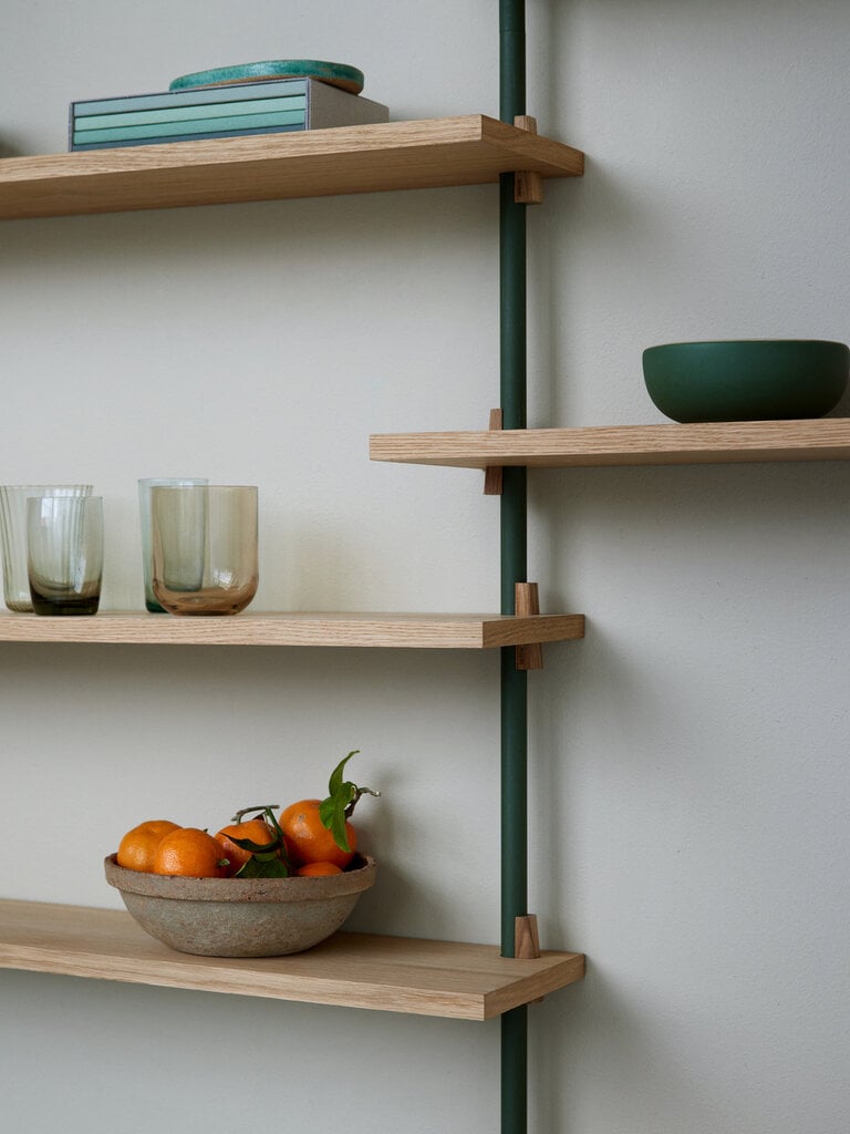 Moebe Wall Shelving (WS.230.1)