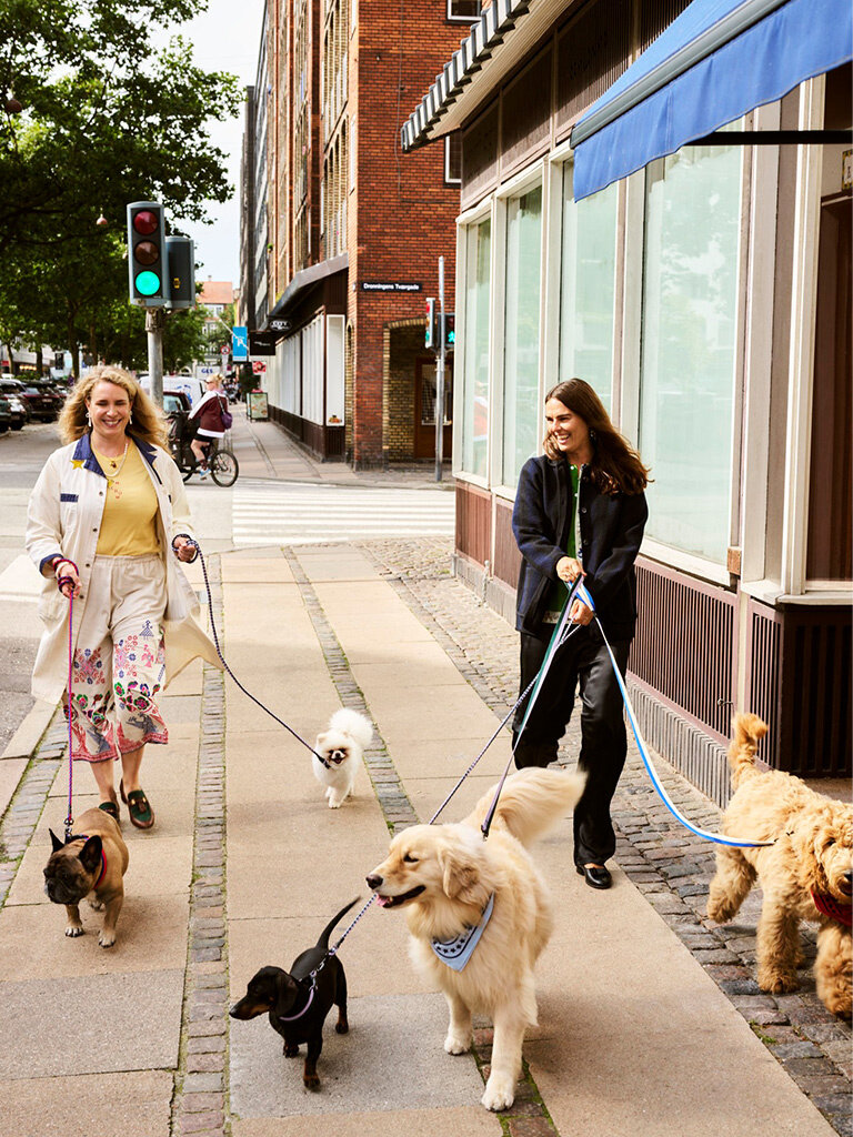 HAY Hay Dogs - Leash - Flat