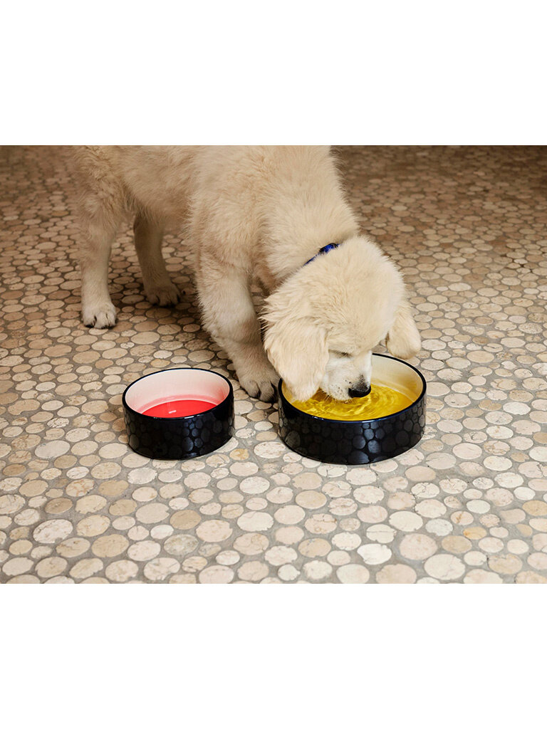 HAY Hay Dogs - Bowl - Small