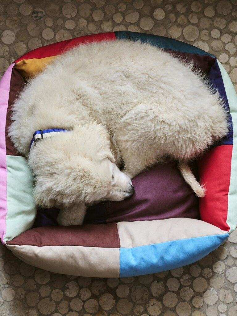 HAY Dogs Bed