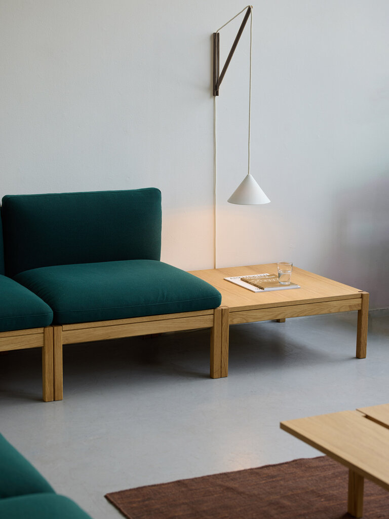 Moebe Suspended Wall Lamp