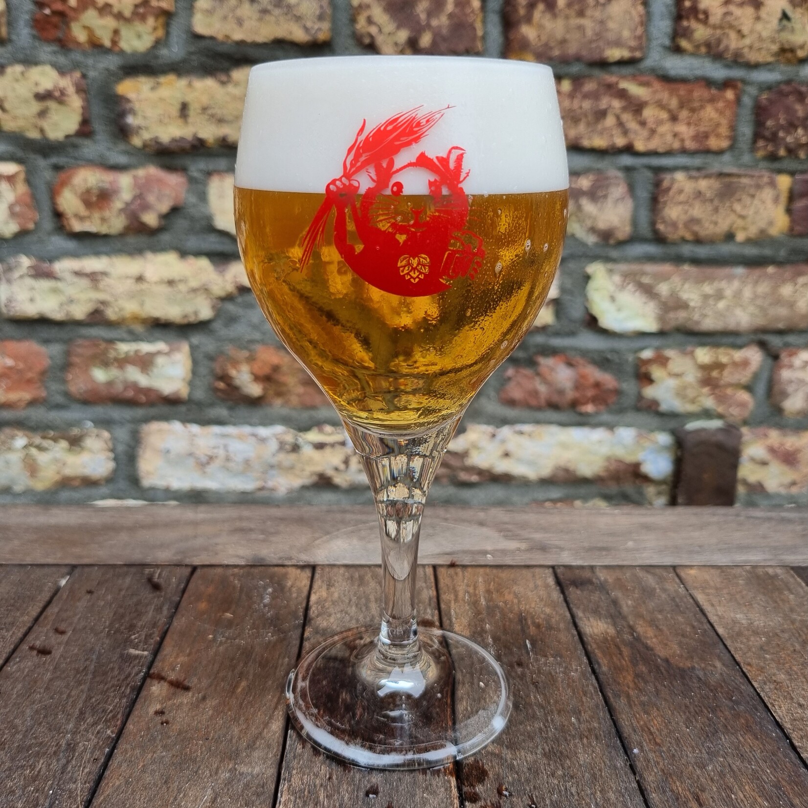 Speciaalbierglas per 6 stuks - 25cl