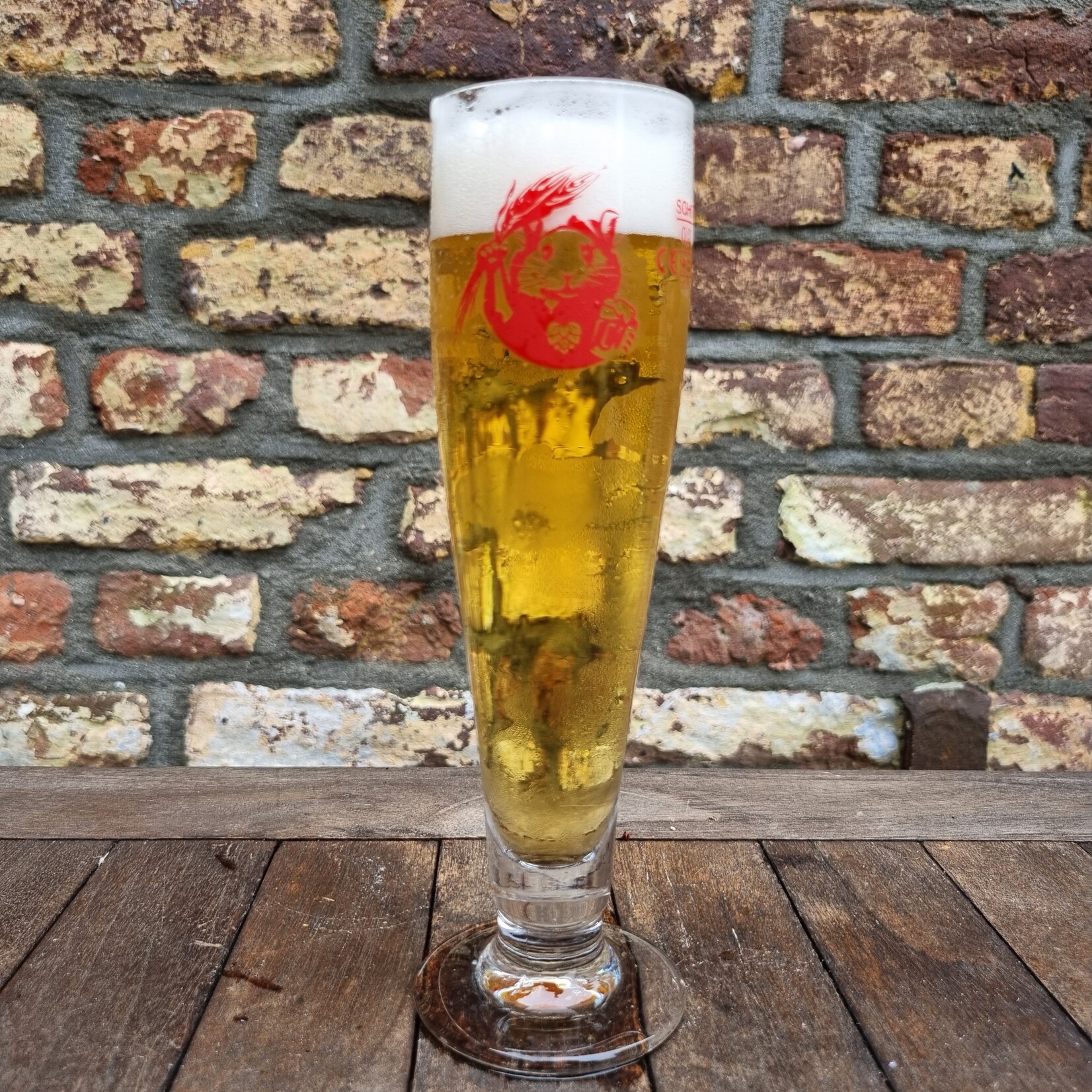 Pilsner glas op voet per 6 stuks - 25cl