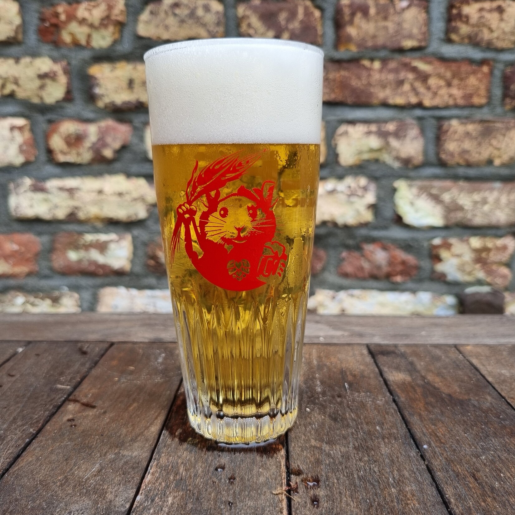 Pilsner glas ribbel per 6 stuks - 25cl