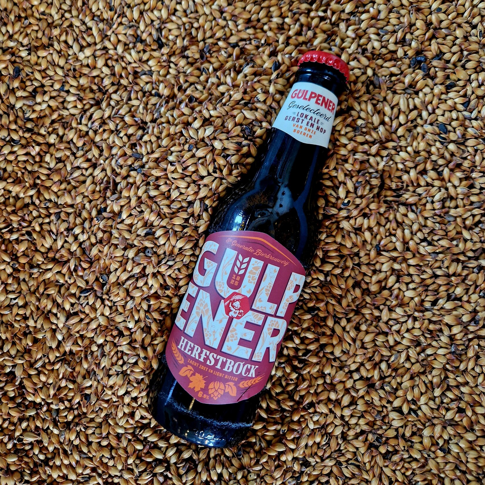 Gulpener Herfstbock