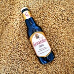 Gerardus Tripel