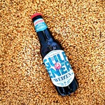 Biologisch Weizen