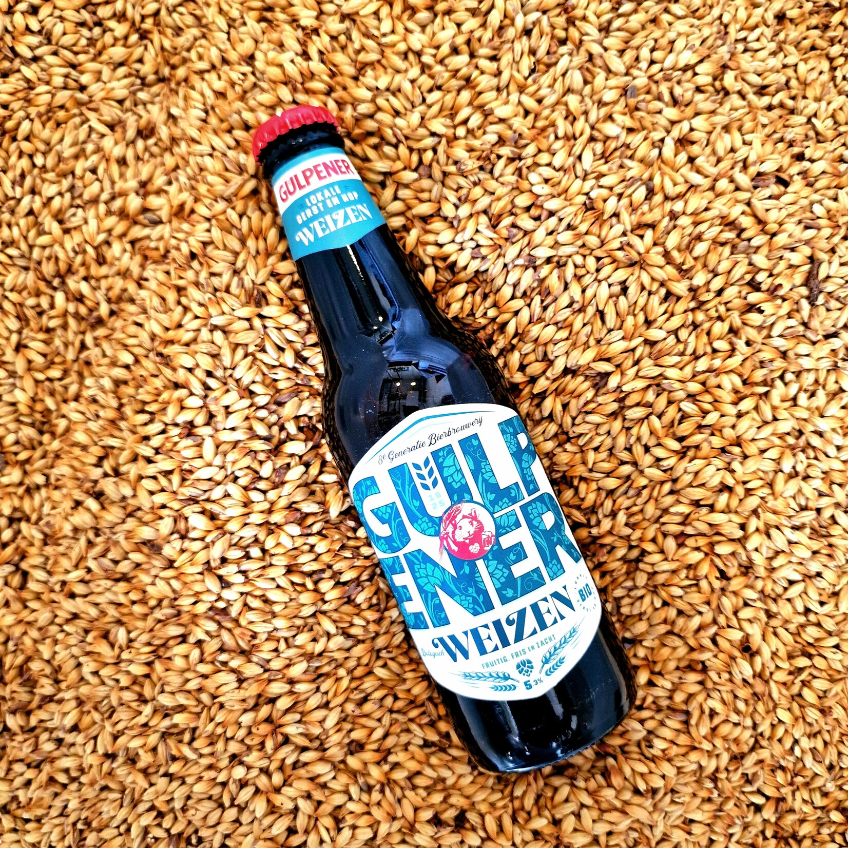 Gulpener Biologisch Weizen