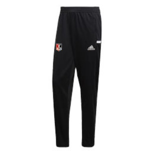 AH&BC Track pants Women T19