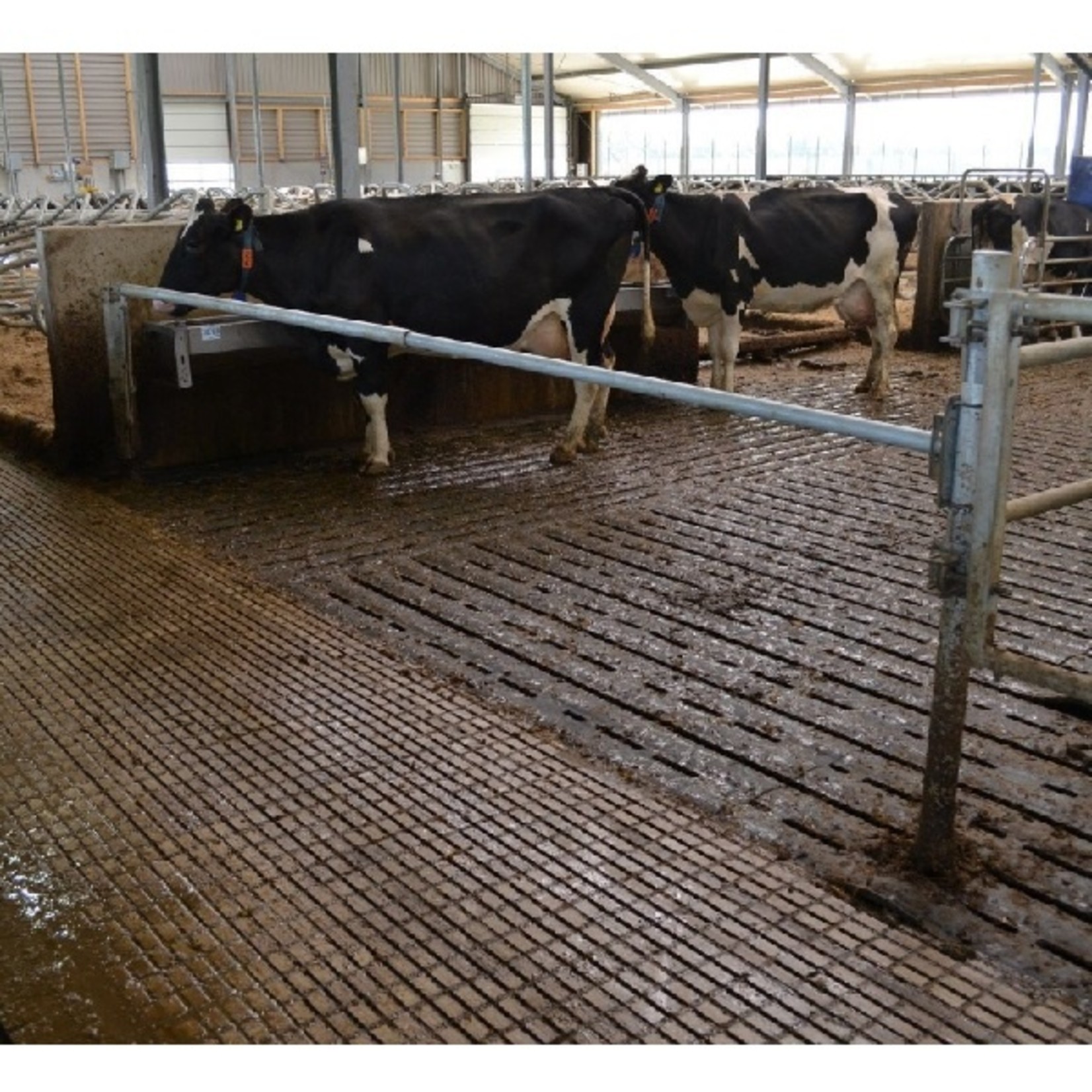 Slagboom veerondersteund, lengte 300-550 cm