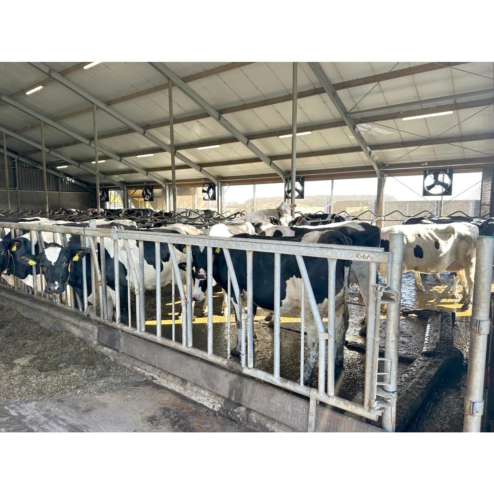 Abbi-Aerotech Abbi-Apex 36-AXP-21