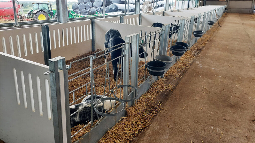 CalfOTel Combo kalver eenlingboxen modulair