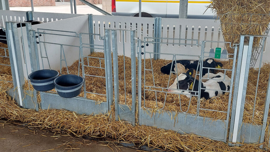 CalfOTel kalver eenlingboxen modulair