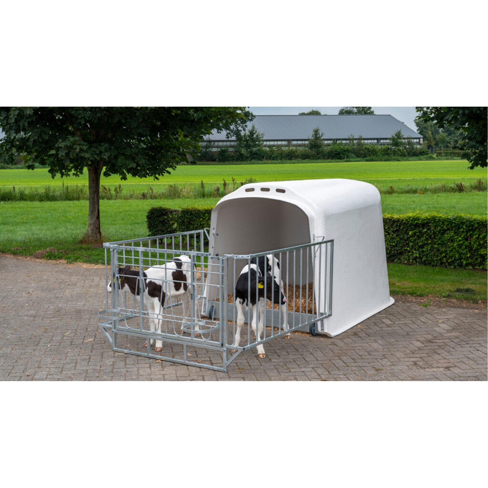 CalfOTel CalfOTel XL-2 met drempel, 4-delig hekwerk en 2 emmerringen