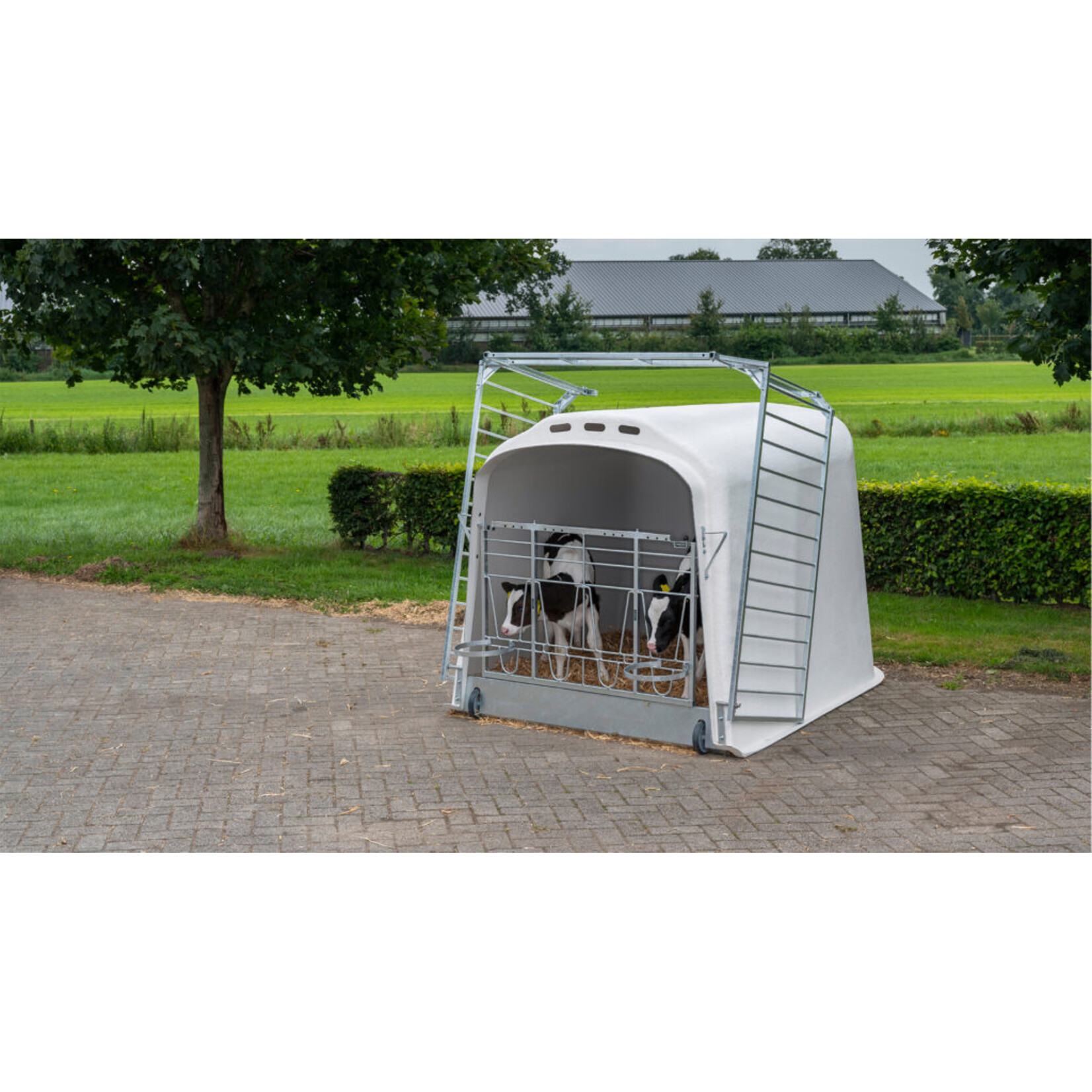 CalfOTel CalfOTel XL-2 met drempel, 4-delig hekwerk en 2 emmerringen