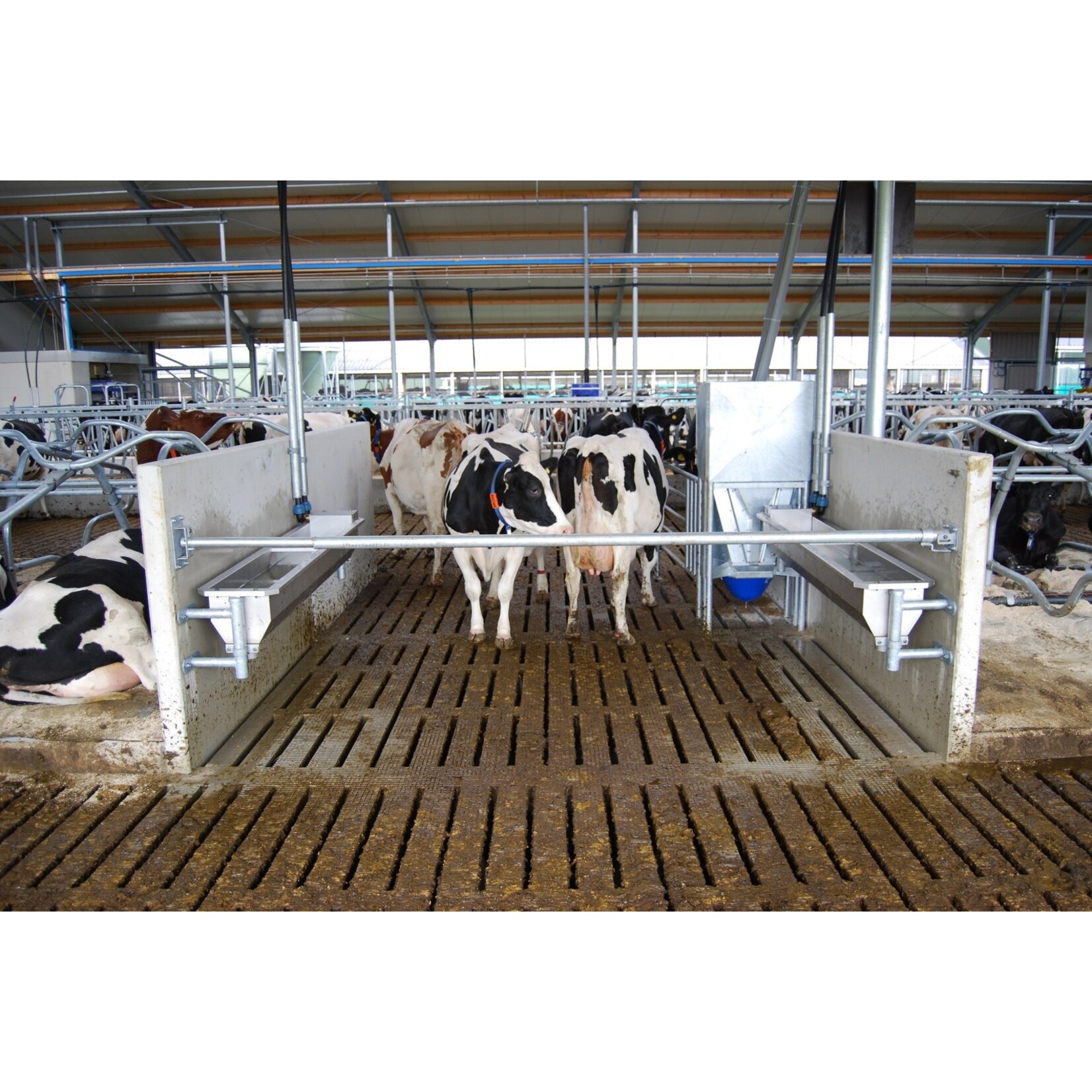 Slagboom eenvoudig 150–300 cm | Compleet & robuust