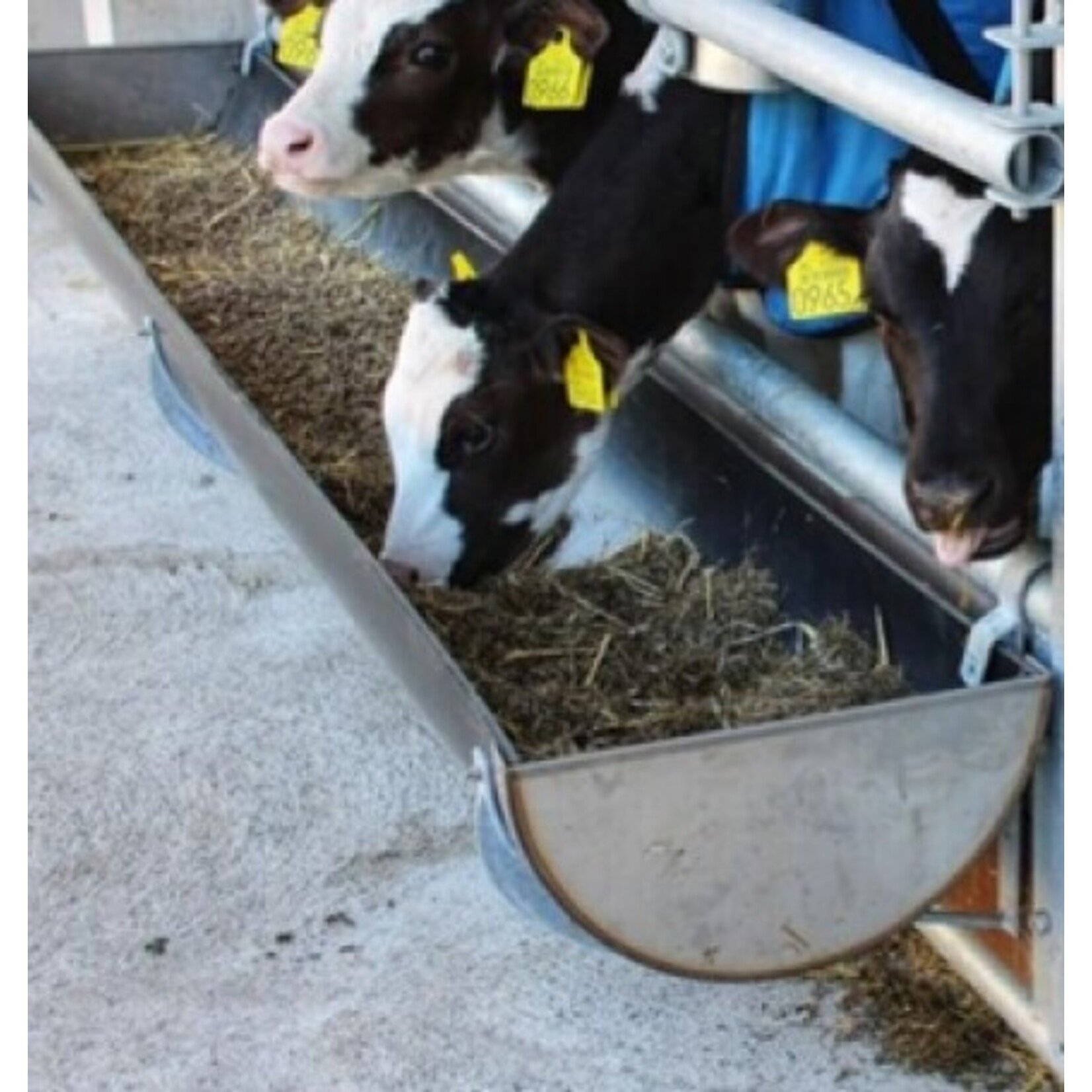 OMKE Omke voergoot voor kalveren – 300 cm, PE met RVS eindkappen