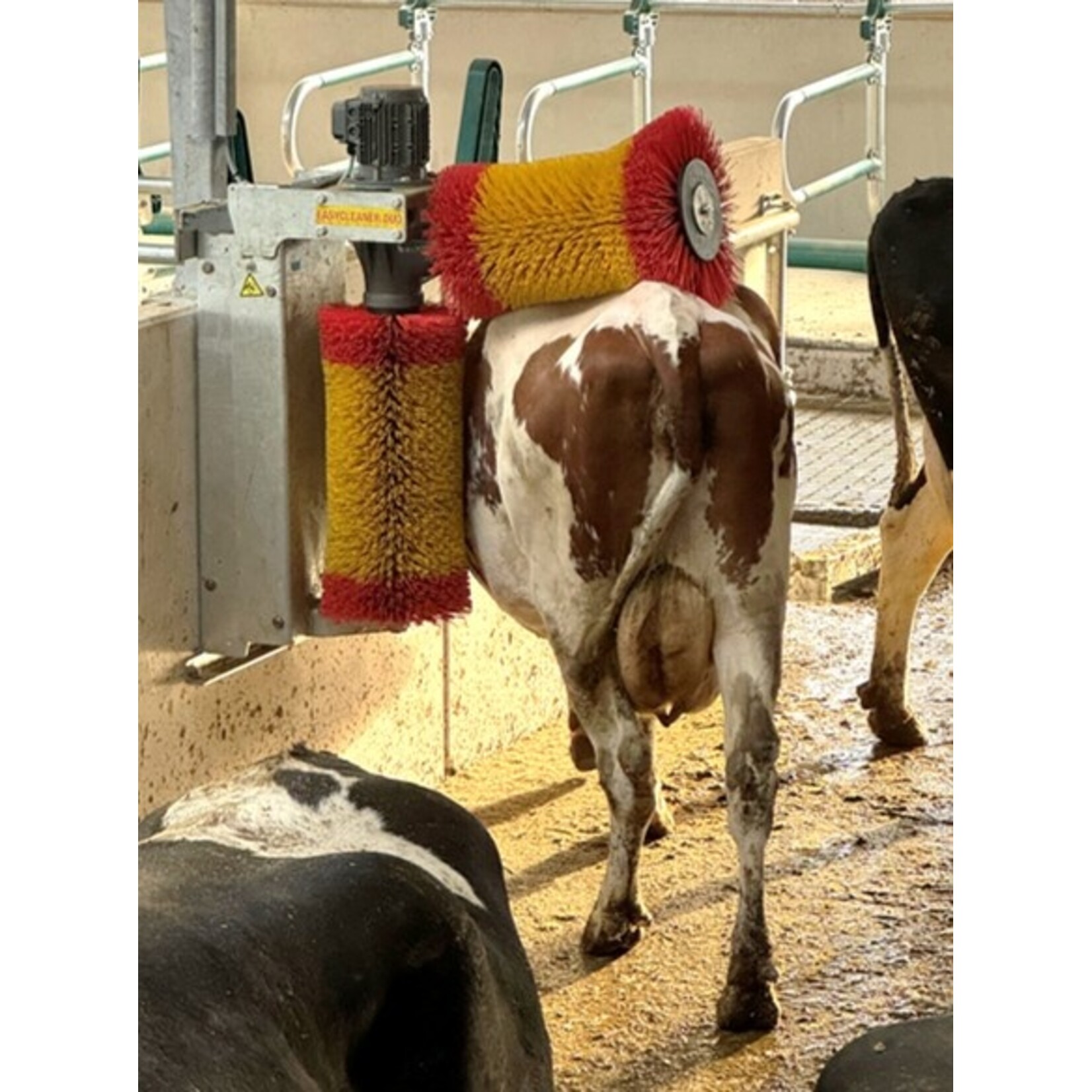 Suevia Koeborstel roterend Easycleaner DUO Suevia