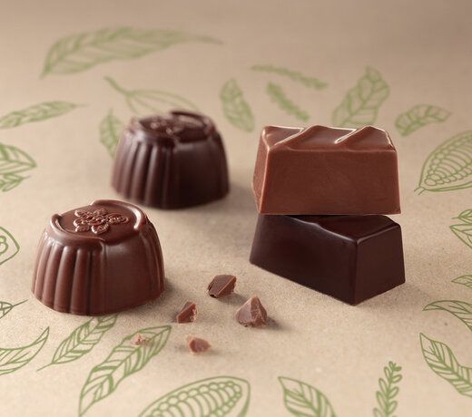Vegan Chocolade