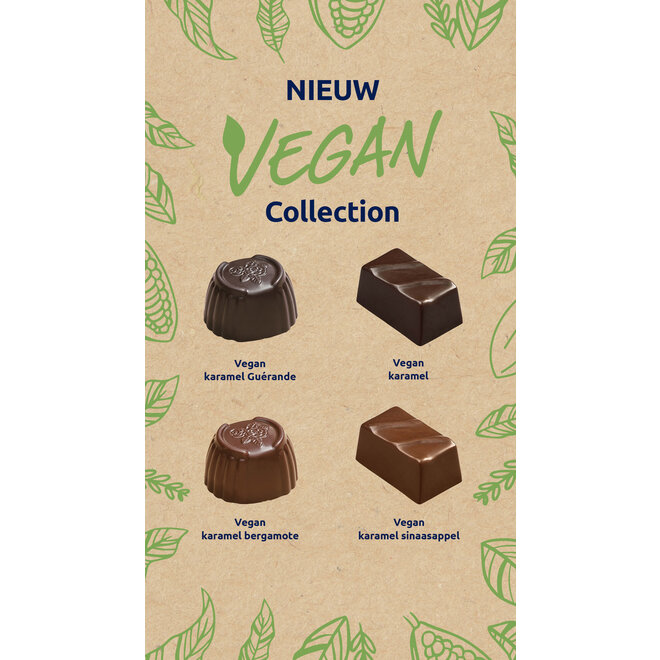 Brievenbus Chocolade - 9 Vegan Bonbons