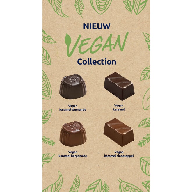 Brievenbus Chocolade - 16 Vegan Bonbons