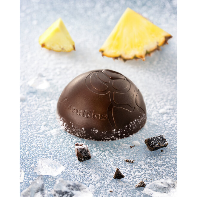 Frozettes 16 (IJs)Bonbons - Limited Edition